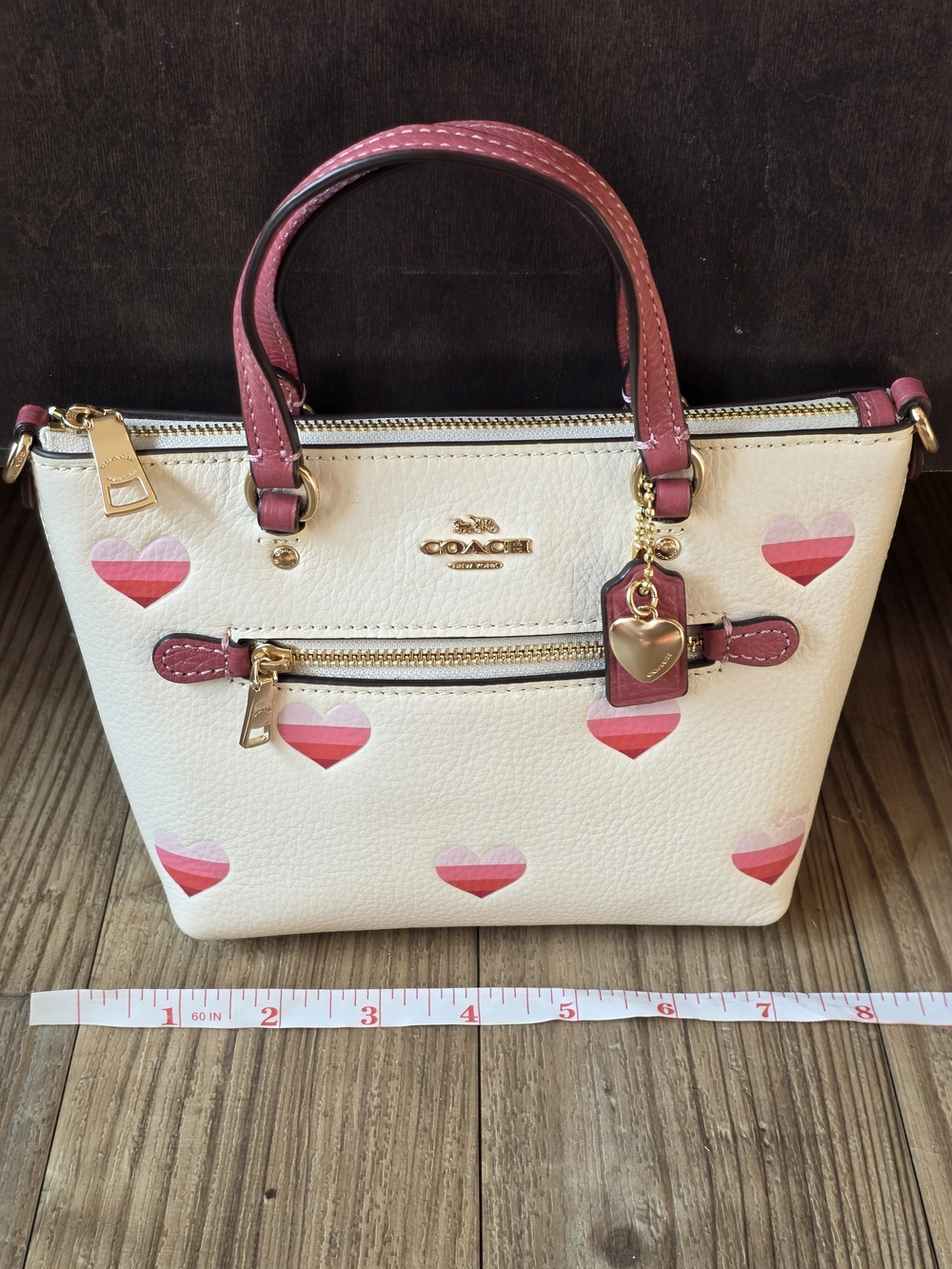 Coach Mini Gallery Crossbody with Stripe Heart Print - Picture 9 of 10